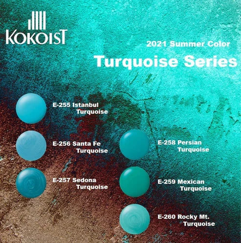 Kokoist Color Gel | E-255 Istanbul