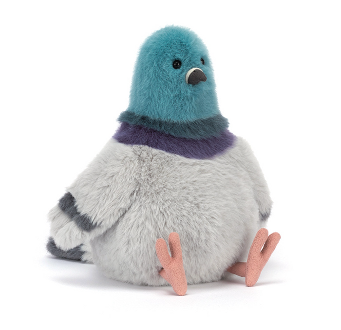 strutton pigeon
