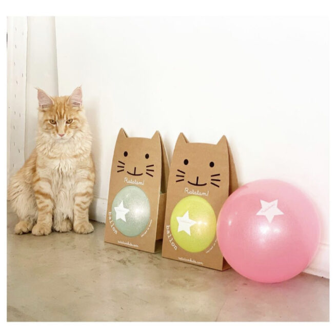 The Summer Glitter Balloon