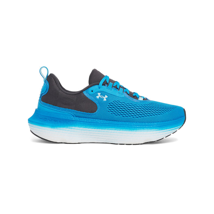 Electric Blue / Anthracite / Stream - 428 / 7