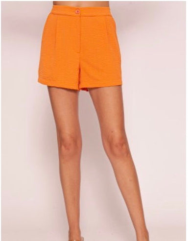 2 COLORS High Waisted Airflow Shorts