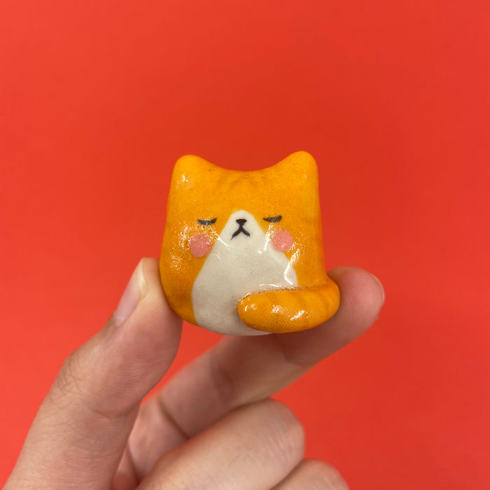 AA Orange Cat