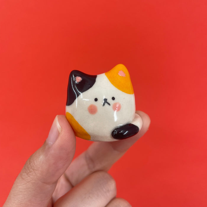 AA Calico Cat