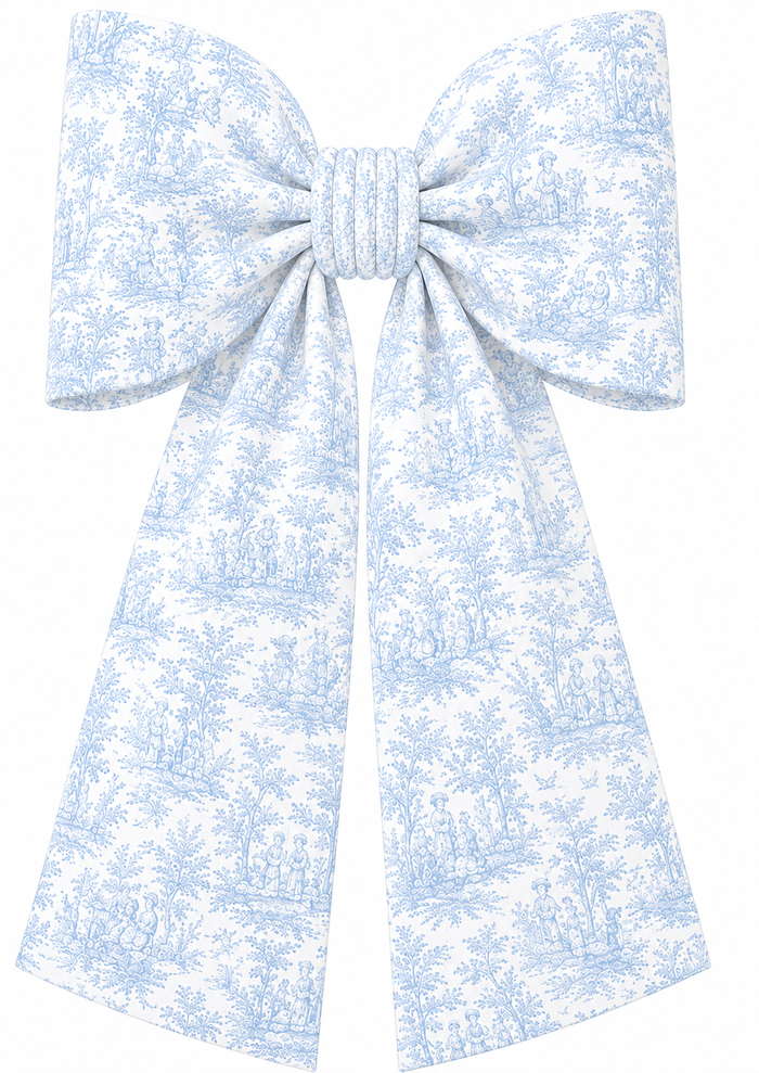Toile / Light Blue Toile