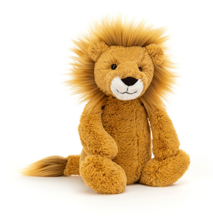 bashful lion