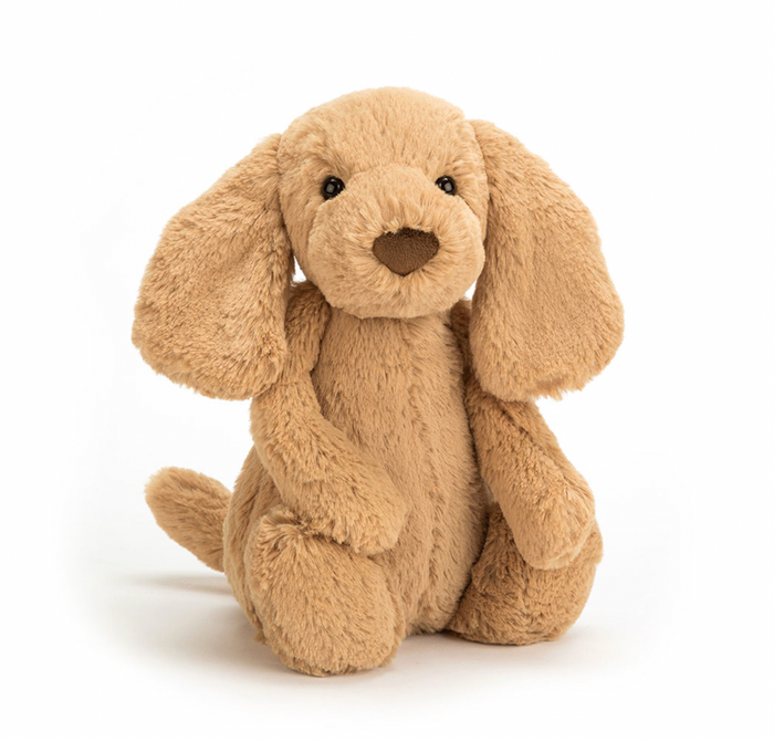 bashful puppy
