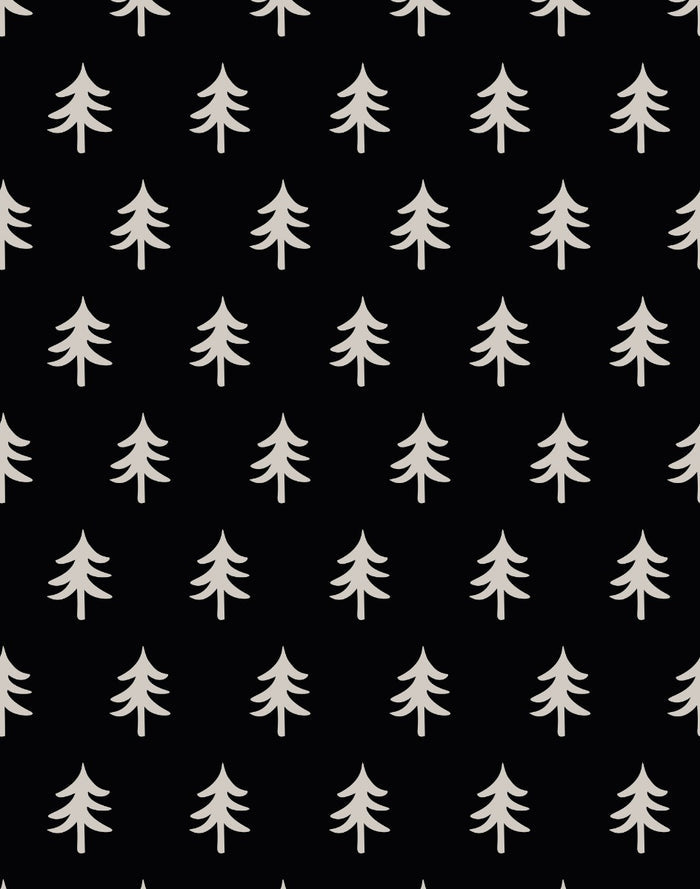 boxer court pintrees PULLIN en lycra