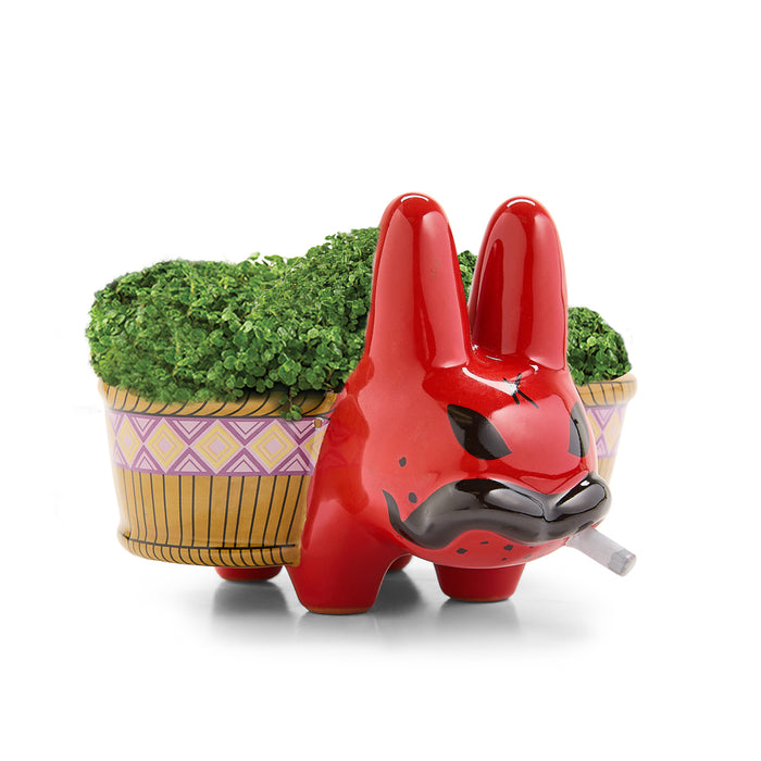 Chia Pet Labbit Smorkin’ Red Edition by Frank Kozik, a 5-inch collectible chia grower featuring a red Labbit character.