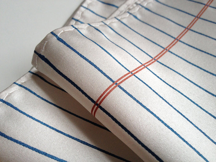 cornflower horizontal stripes with a dark salmon vertical margin.
