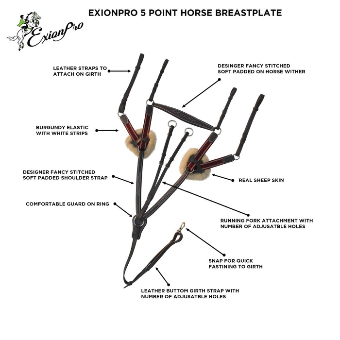 ExionPro 5 Point Breastplate - Burgundy Elastic with White Strips