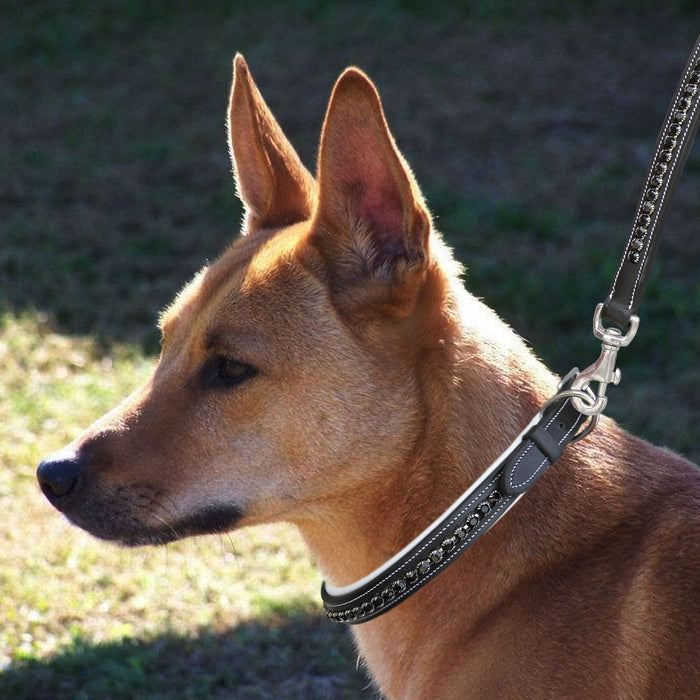 ExionPro Black Bling Dog Collar