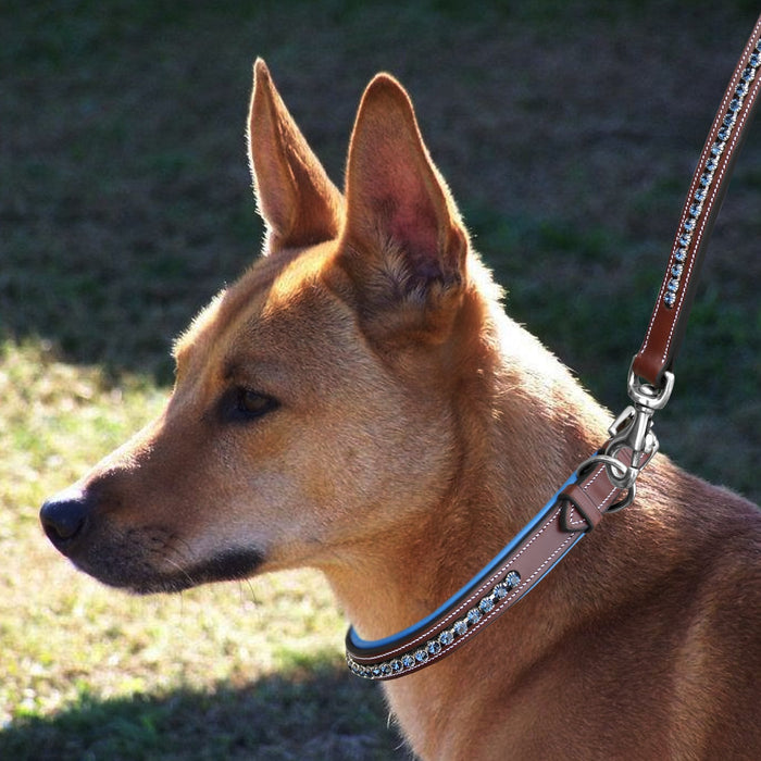 ExionPro Dark Blue Bling Dog Collar With Leash