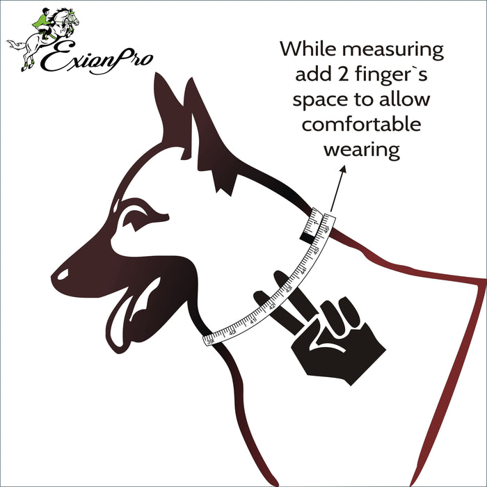 ExionPro Fancy Stitched Padded Leather Dog Collar - Conker Padding