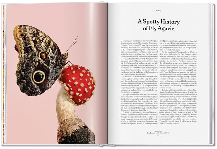 Gourmand's Mushroom. A Collection of Stories & Recipes