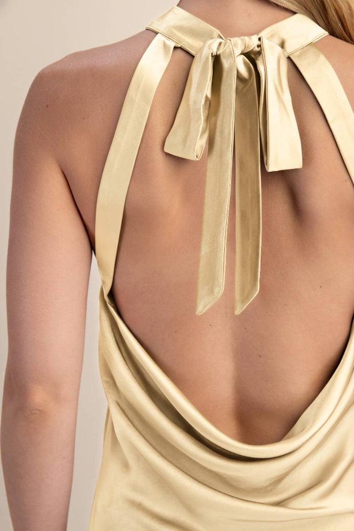 Halter Neck Open Back Dress