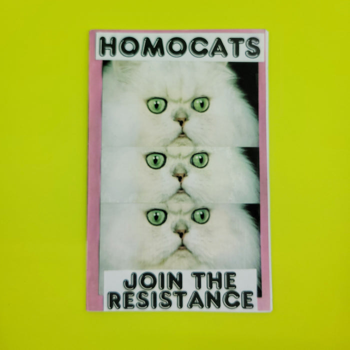 HOMOCATS: Zines