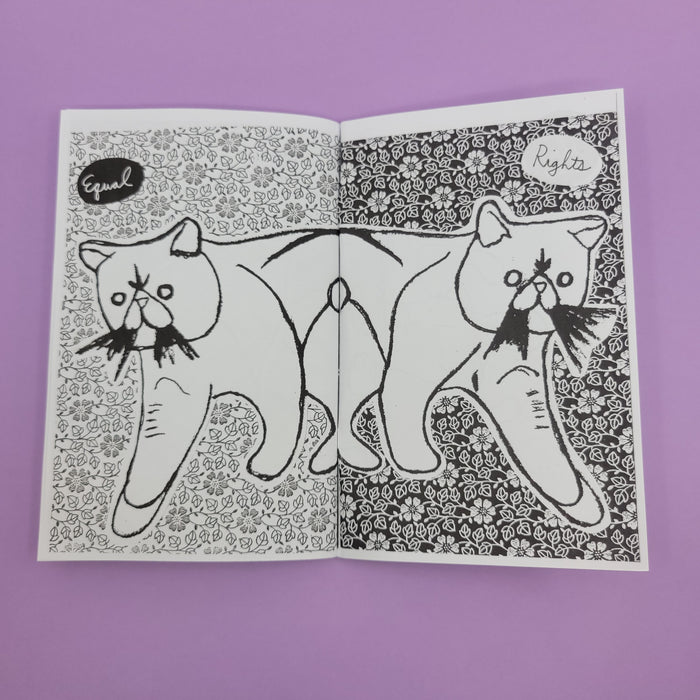 HOMOCATS: Zines