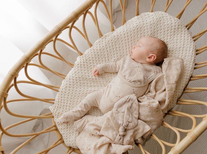 Jersey Cotton - Vintage Birds Collection - Bamboo Muslin Paci Lovey