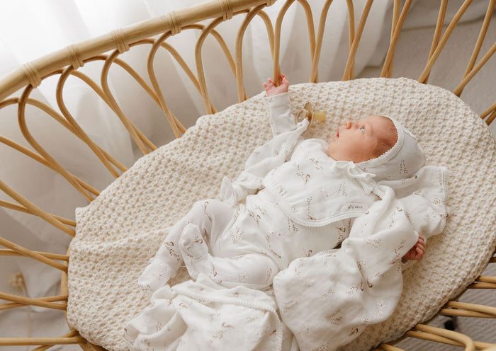 Jersey Cotton - Vintage Birds Collection - Bamboo Muslin Paci Lovey