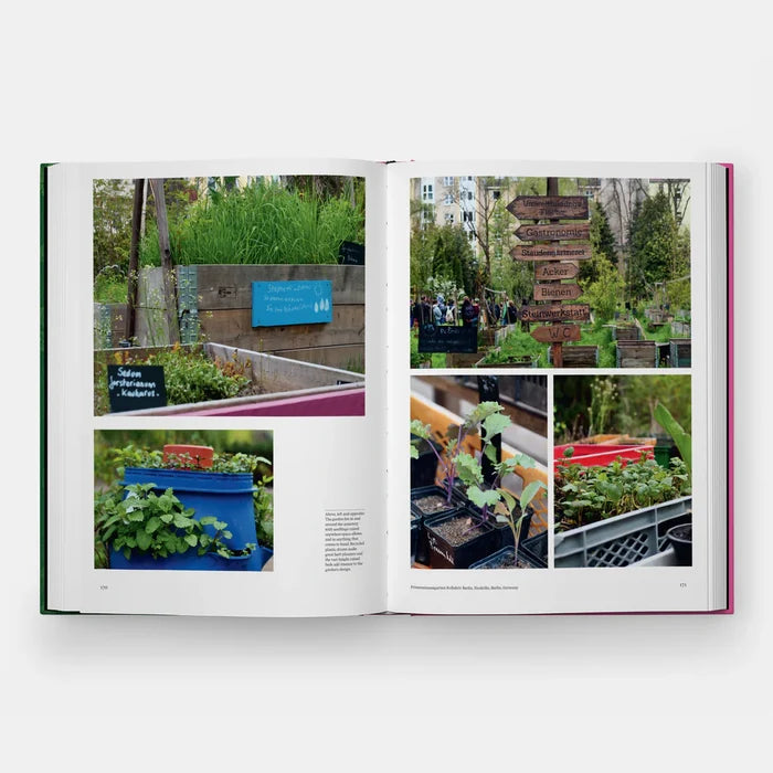 Kitchen Garden