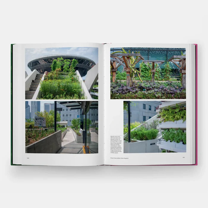 Kitchen Garden
