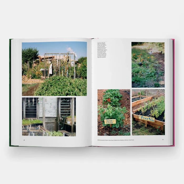 Kitchen Garden