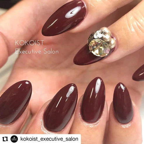 Kokoist Color Gel | E-039 Black Cherry