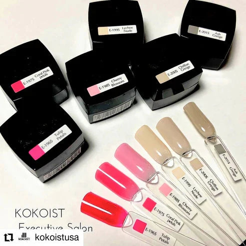 Kokoist Color Gel | E-201S Ash Greige