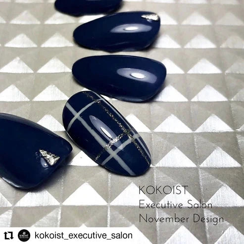 Kokoist Color Gel | E-217 Smoky Blueberry