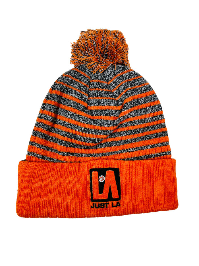 LARRY ANDERSEN JUST LA ADULT WINTER POM HAT