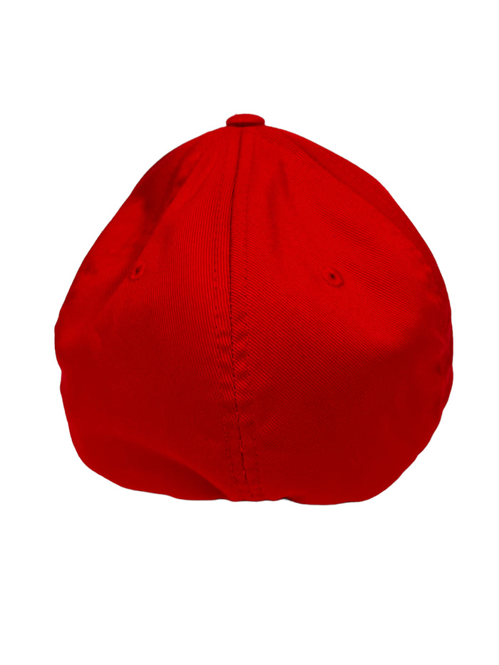 LARRY ANDERSEN JUST LA USA FLEX FIT ADULT HAT
