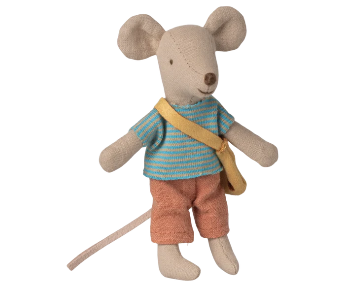 Little brother mouse with bag