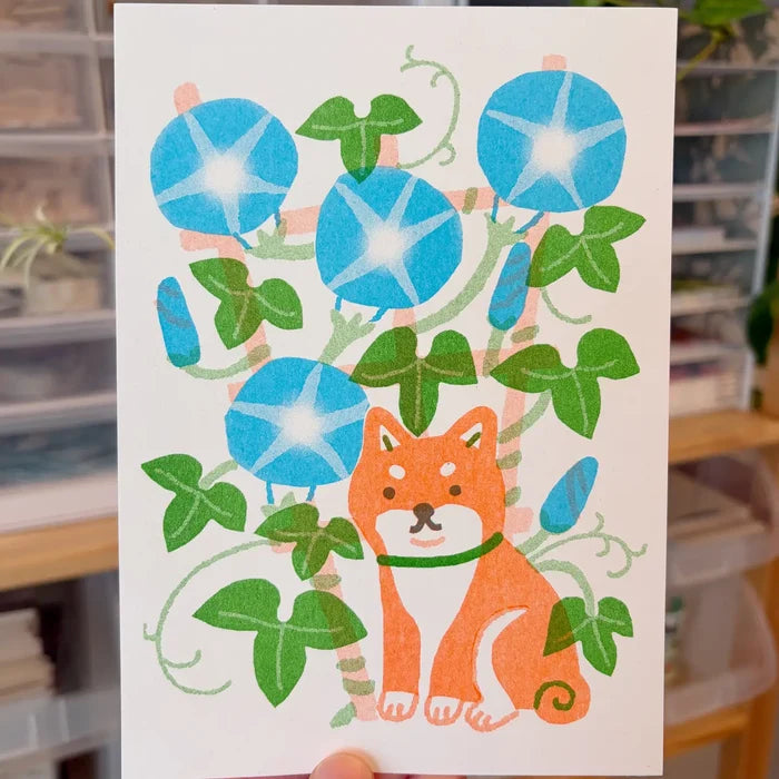 Shiba Inu