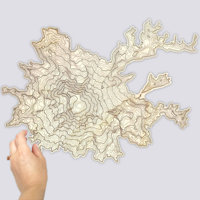Mt Rainier Topography Wooden Wall Art