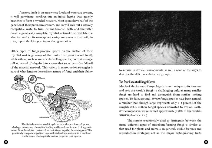 Mycocultural Revolution: Transforming Our World with Fungi (hardcover)