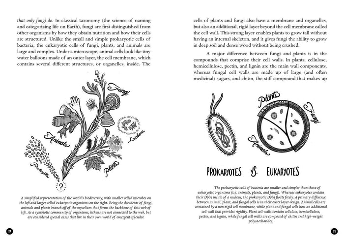 Mycocultural Revolution: Transforming Our World with Fungi (hardcover)