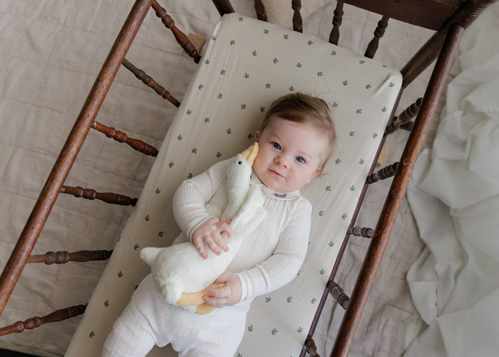 Organic Cotton Embroidered Collar Collection - Paci Clip