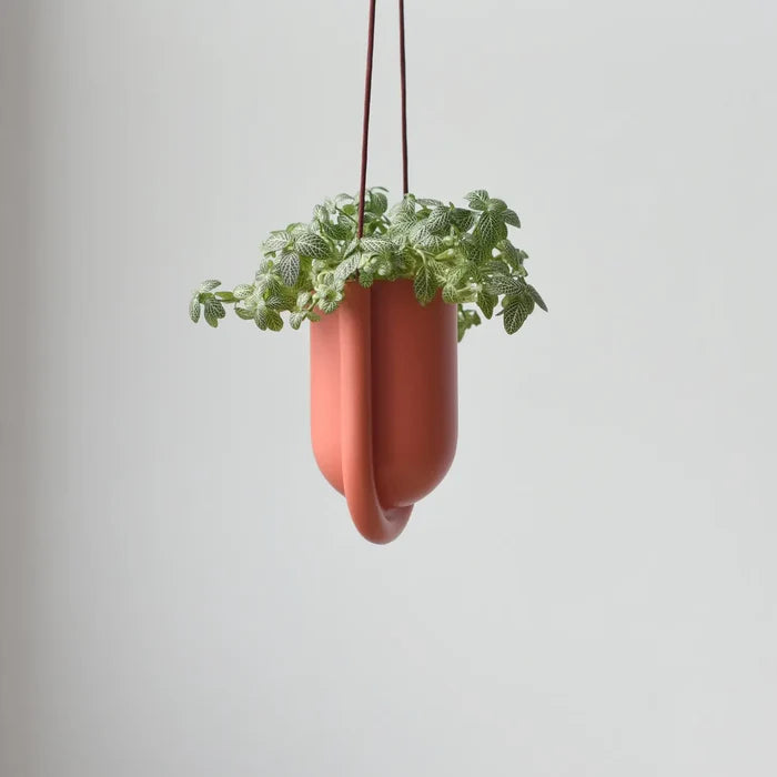 Portico Hanging Planter