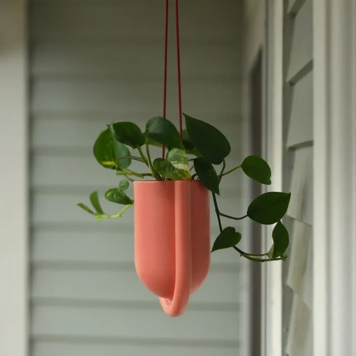 Portico Hanging Planter