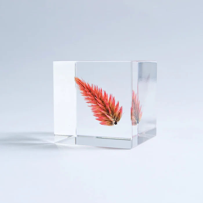 Quail Grass Cube
