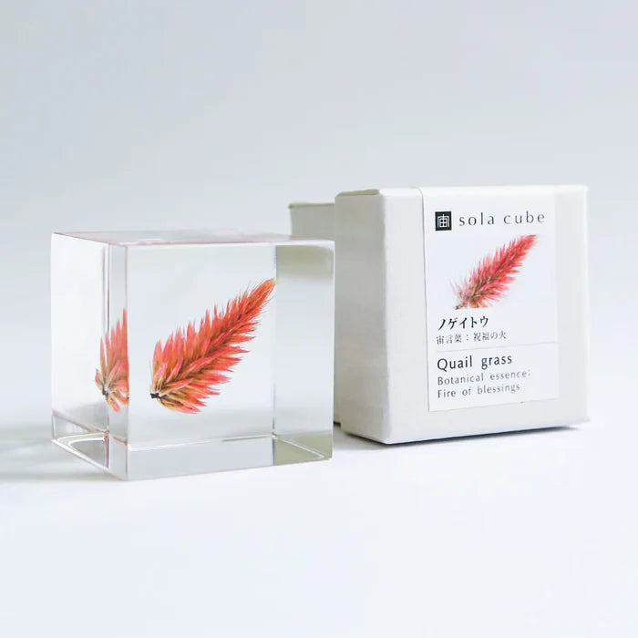 Quail Grass Cube