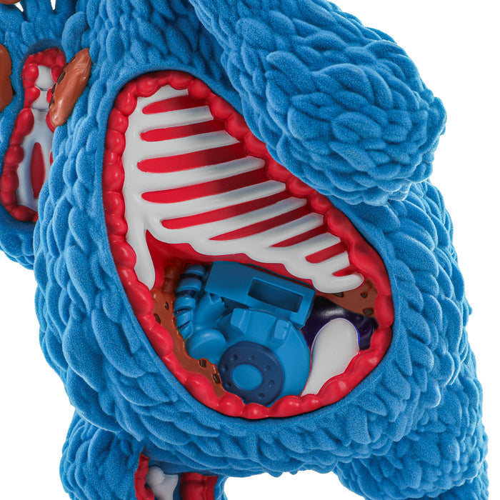 Sesame Street Kaiju Anatomy Cookie Monster 8-inch flocked vinyl art figure with detailed monster-inspired design.