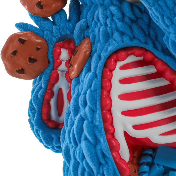 Sesame Street Kaiju Anatomy Cookie Monster 8-inch flocked vinyl art figure with detailed monster-inspired design.