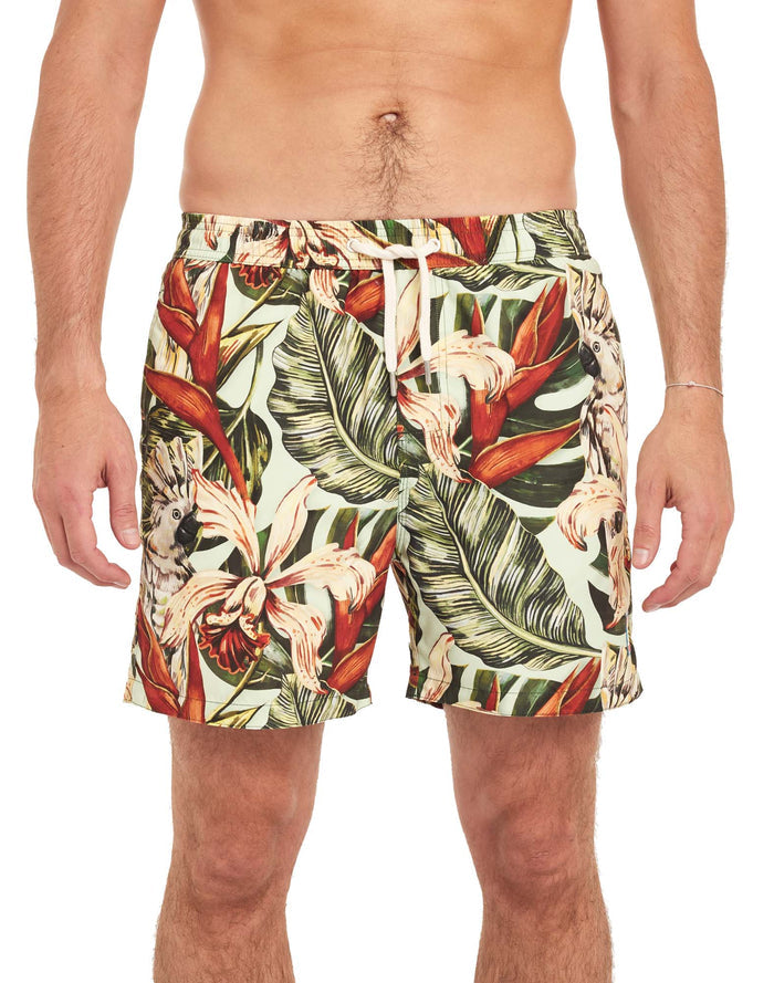 short de bain botanik PULLIN en polyamide