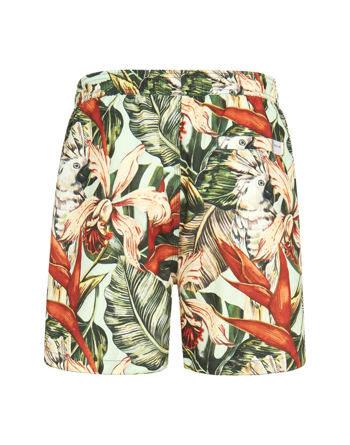 short de bain botanik PULLIN en polyamide
