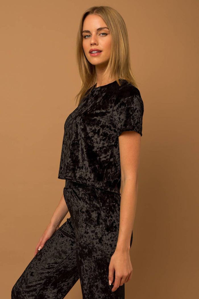 SHORT SLEEVE CREW NECK VELVET TOP