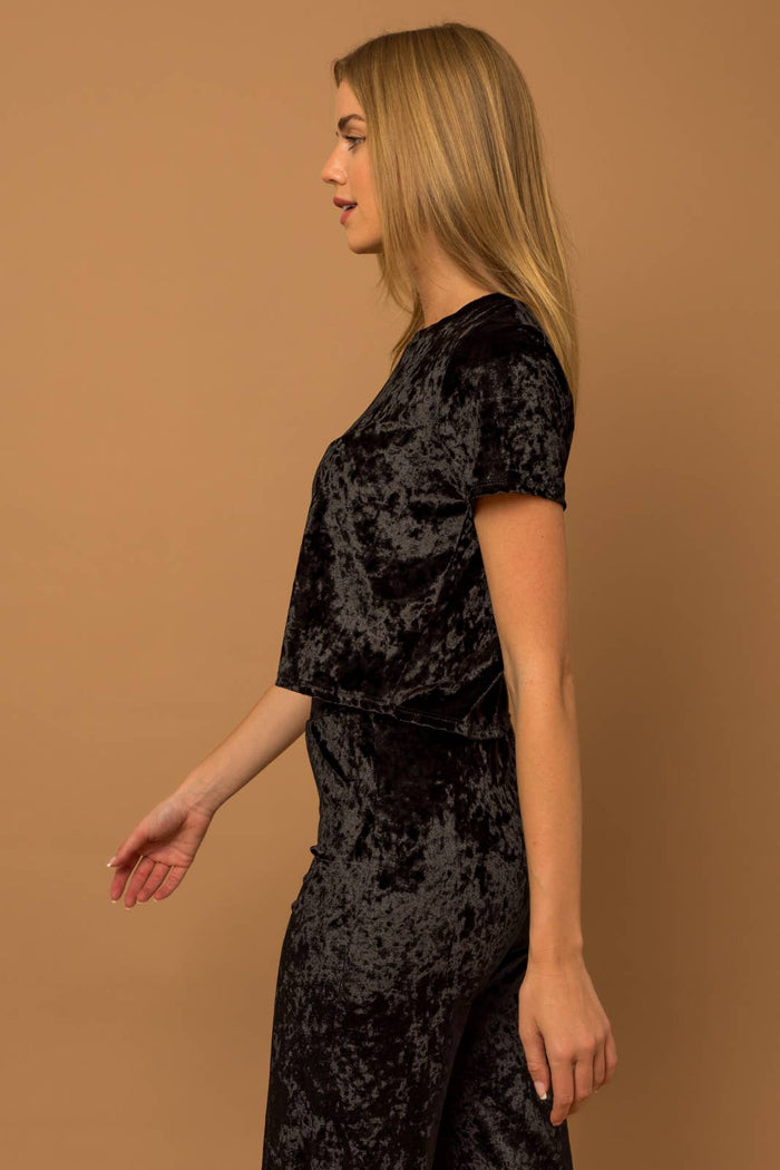SHORT SLEEVE CREW NECK VELVET TOP