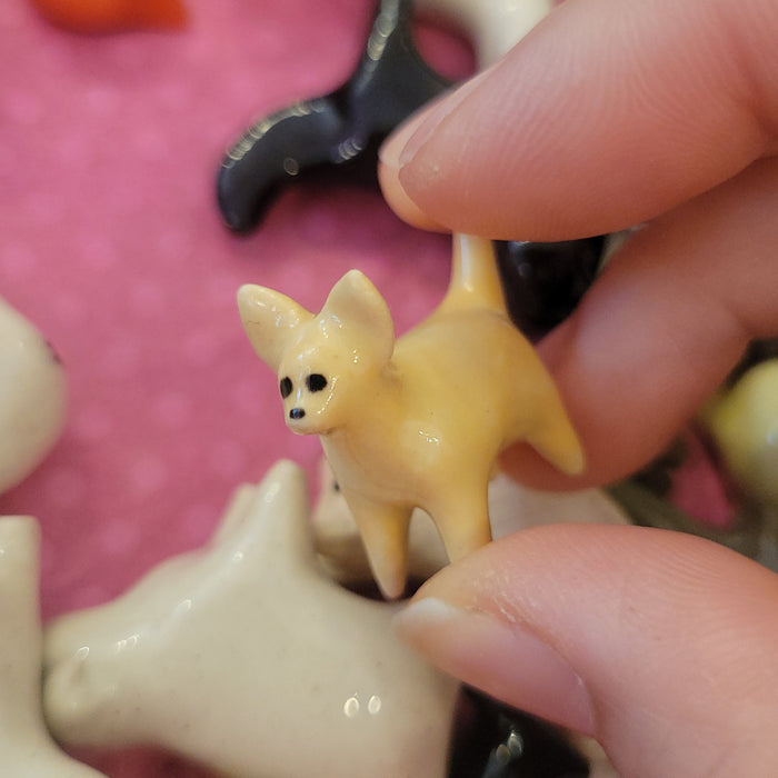 SP - Chihuahua